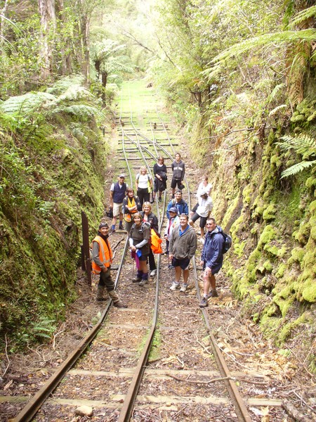Waiorongomai Low level loop Valleys of Gold walk